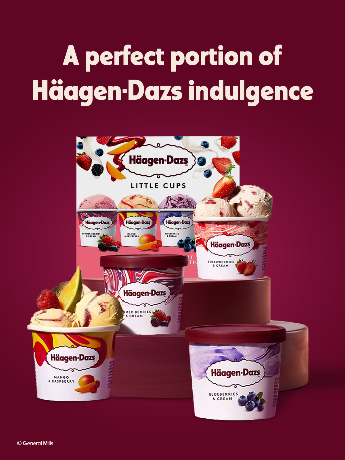 Perfect portion of haagendazs indulgence